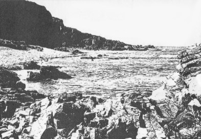 Hovs Hallar_Bild 3_sv