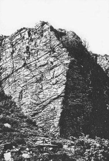 Hovs Hallar_Bild 4_sv