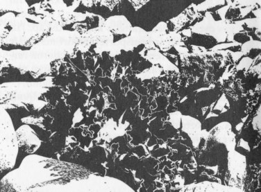 Hovs Hallar_Bild 5_sv