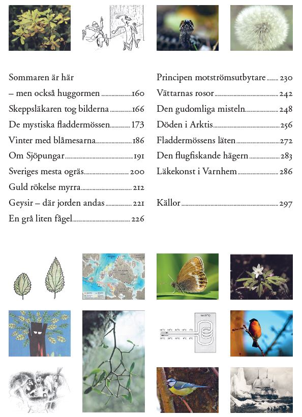 Innehåll sid 2_ver 3_high res