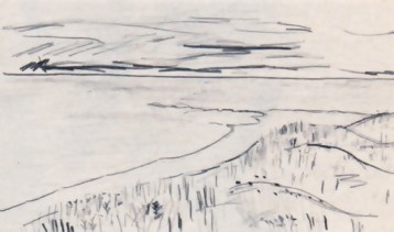 Bland skriktallar. Bild 2