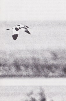 Följ med till Nardenmeer. Bild 6