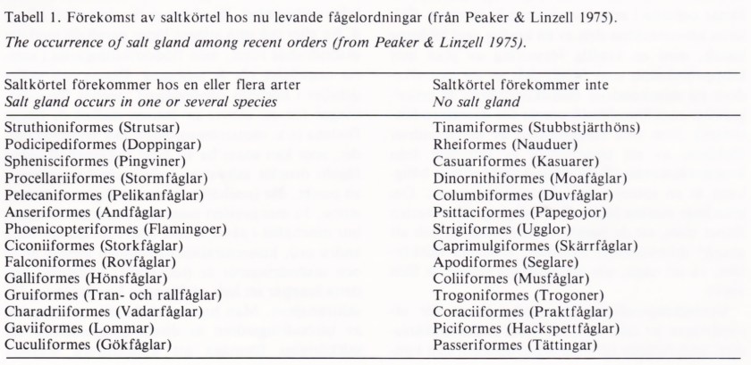 Saltkörteln - ett livsviktigt organ. Tabell